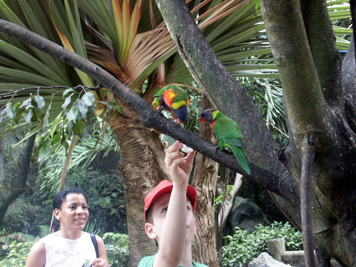 21a - Jardin Tropical 004.jpg - DCF 1.0